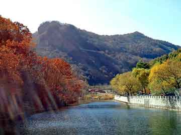 管家婆黑白马报图库，石家庄黄页